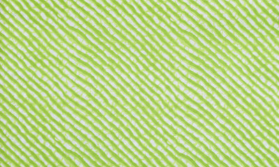 Green Leheriya Inspired Sanganeri Screen Print Fabric – alternate view