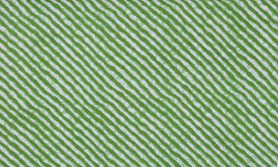 Green Leheriya Sanganeri Screen Print Fabric – alternate view