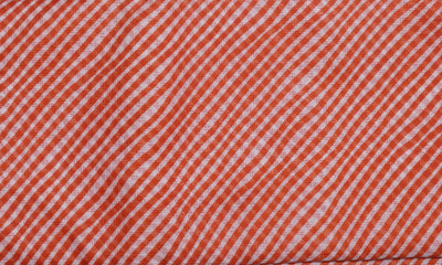 Leheriya Sanganeri Screen Print Kota Fabric – alternate view