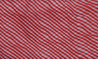 Red Leheriya Sanganeri Screen Print Kota Fabric – alternate view