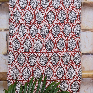 Bagh Modal Silk Suit