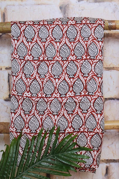 Bagh Modal Silk Suit