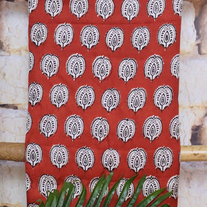 Bagh Modal Silk Suit