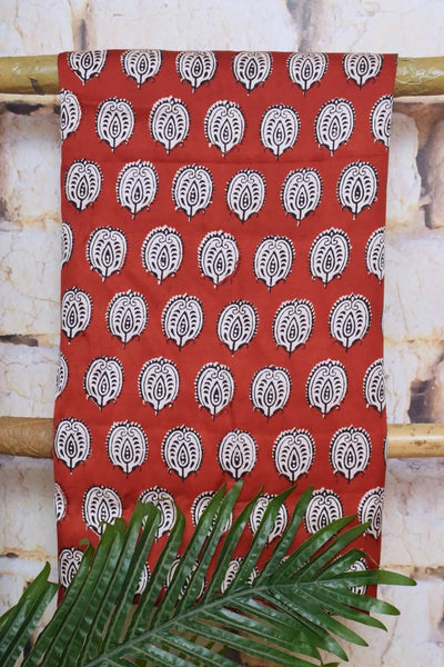 Bagh Modal Silk Suit