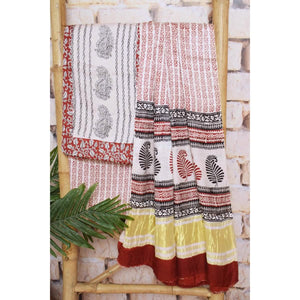 Bagh Modal Silk Suit