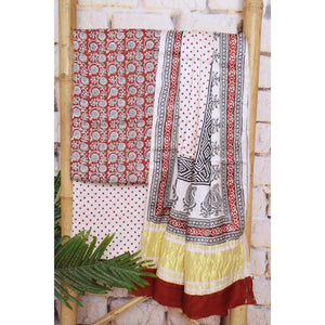 Bagh Modal Silk Suit