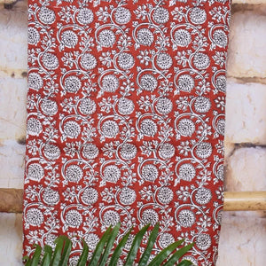 Bagh Modal Silk Suit