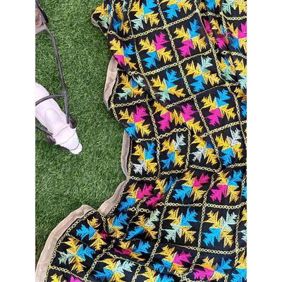 Black Georgette Phulkari Hand Embroidered Dupatta