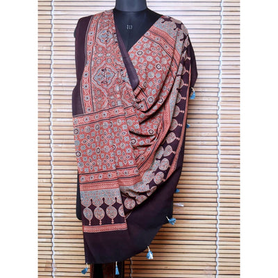 Brown Ajrakh Cotton Block Print Dupatta - SSEthnics