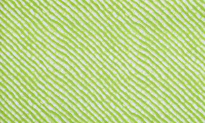 Green Leheriya Inspired Sanganeri Screen Print Fabric
