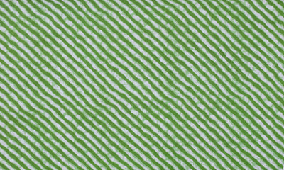 Green Leheriya Sanganeri Screen Print Fabric