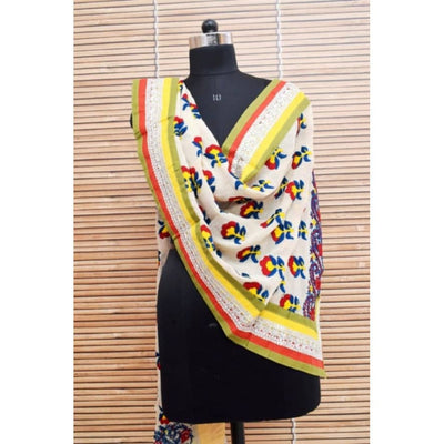 White Georgette Phulkari Hand Embroidered Stole - SSEthnics